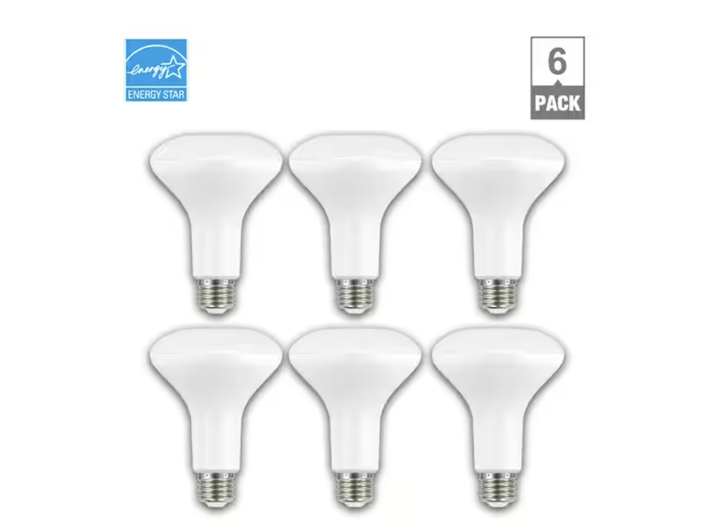 65-Watt Equivalent BR30 Dimmable Energy Star LED Flood Light Bul